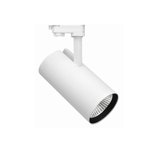 Track spot light