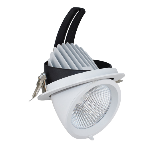 B-LRDLJ009-D-50W
