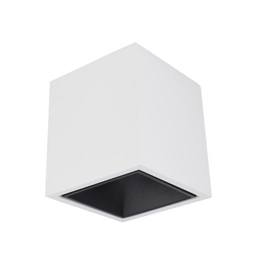 Surface mounted light
