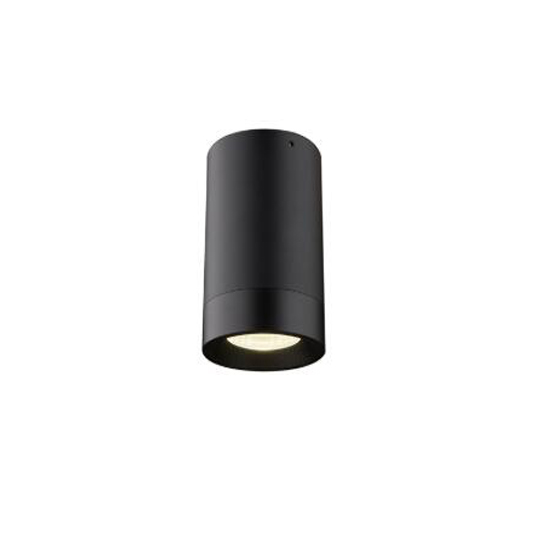 surface mounted light